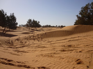 KSAR GHILANE TUNISIA : sand dune sahara
