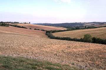 Fototapeta premium italy,panorama,landscape,countryside,field,view,hill,rural,agriculture