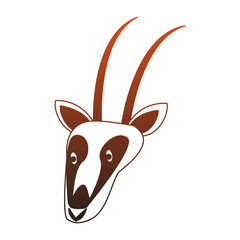 Antelope wild animal vector illustration graphic design