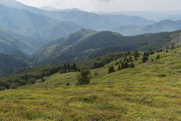 Fototapeta premium Beautiful mountain view from the hills on the path to the Eho hut. The Troyan Balkan is exceptionally picturesque and offers a combination of wonderful mountain scenery, fresh air.
