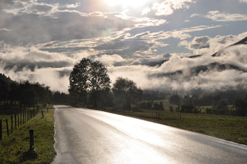 im Sonnenschein vor Nebel glänzende Straße in der Aue der Enns im Gesäuse in der Steiermark Glossy Road