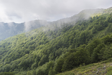 Fototapeta premium Beautiful mountain view from the hills on the path to the Eho hut. The Troyan Balkan is exceptionally picturesque and offers a combination of wonderful mountain scenery, fresh air.