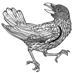 Vector illustration of engraved raven pattern black and white 