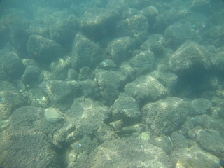 seabed