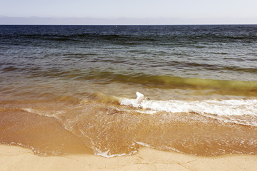 A view of Malibu beach and a bird stork flying over the ocean in California