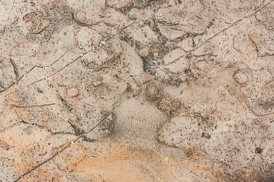 Surface of stoneware close up full of out of focus, granular shapes. A unique abstract background like the surface of an unknown planet.