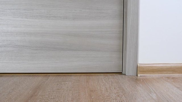 Room indoors. Hinge, jamb and plinth near doorway at the flat