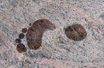 Footprint on rock