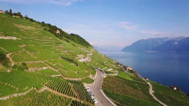 4K Aerial footage of Vineyard fields in Terrasses de Lavaux near Lausanne in Switzerland - UHD
