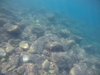 seabed