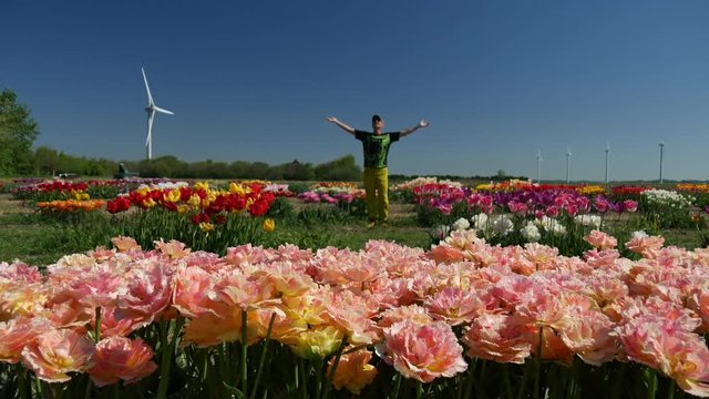 Campi di tulipani in Olanda con uomo felice
