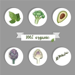 Vegetables vector sticker set of basil, broccoli, avocado, artichoke and rosemary. Organic product.