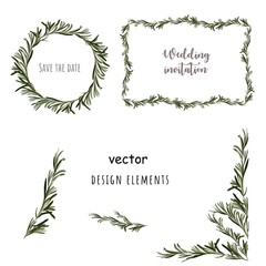 Rosemary design elements. Wedding invitation templates, frame, wreath. Vector.