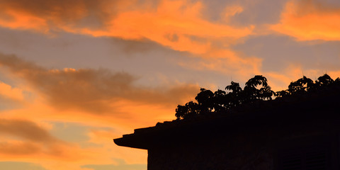 Silhouette eine Daches vor orangefarbenem Himmel bei Sonnenuntergang