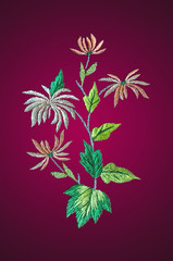 Twig with autumn leaves and white-pink Chrysanthemums on a dark crimson gradient background