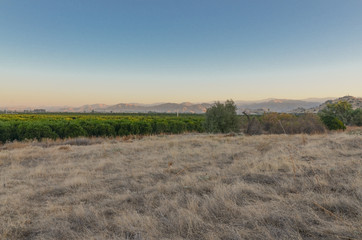 orhards and farming lands surrounded by hills in San Joaquin valley Tulare county, California, USA