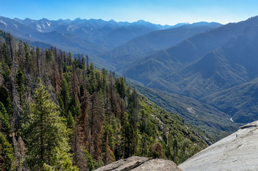 view of Giant Forest, peaks of High Sierra and Middle Fork Kaweah River from Moro Rock trail Sequoia National Park, California, USA