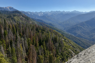 view of Giant Forest, peaks of High Sierra and Middle Fork Kaweah River from Moro Rock trail Sequoia National Park, California, USA