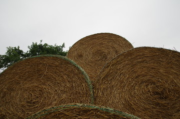 Rundballen