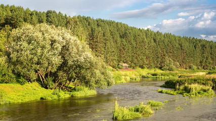 панорама летнего пейзажа на берегу уральской реки с лесом, Россия, август  © 7ynp100