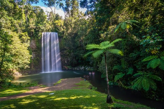 Millaa Milla Falls in the summer in Queensland, Australia, long exposure