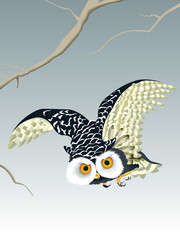 Chouette volant en hiver