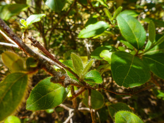 Jaen. Parque natural de Cazorla en Andalucia. España