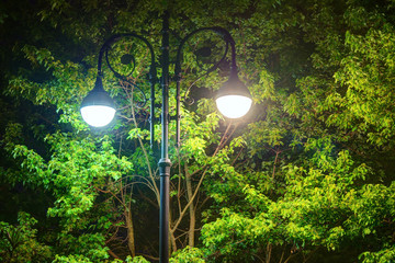 Luminous wrought ornate street light on the background of foliage of a maple tree at night
