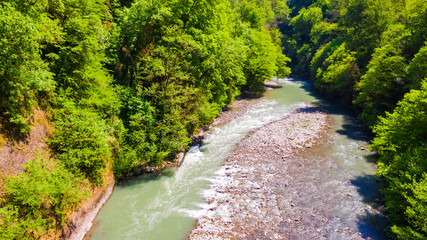 Drone view of the Sochi river gorge with dense forest in sunny summer day, Russia
