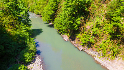 Fototapeta premium Drone view of the Sochi river gorge with dense forest in sunny summer day, Russia 