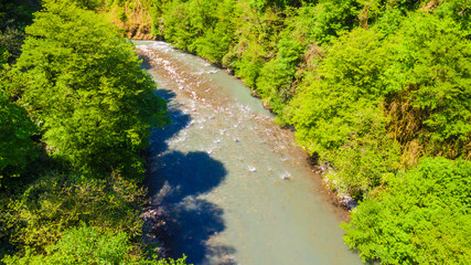 Drone view of the Sochi river gorge with dense forest in sunny summer day, Russia
