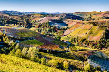 A breathtaking view of the Piedmont hills in the Langhe during the autumn, while a warm afternoon sun shines on the vines