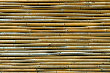 Bamboo fence background,Old Bamboo