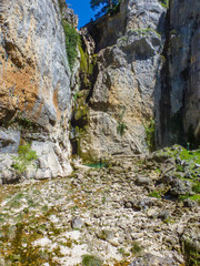 Jaen. Parque natural de Cazorla en Andalucia. España