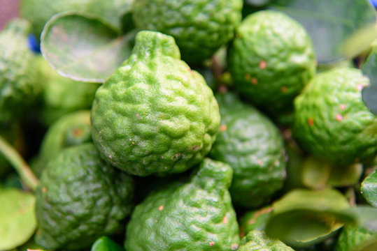 Fresh green bergamot 