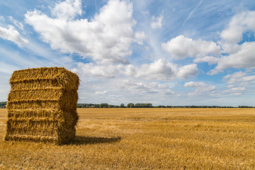 Haystacks at Harvest Time