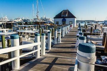 View of a marina with yachts docked (The Hamptons, USA)