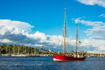 Segelschiffe auf der Hanse Sail in Rostock