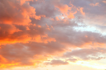 Naklejka na ściany i meble Clouds in the sky illuminated by the setting sun.