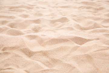 Fototapeta na wymiar Empty tropical beach and sand background with copy space