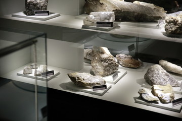 Miniera di sale Wieliczka in polonia