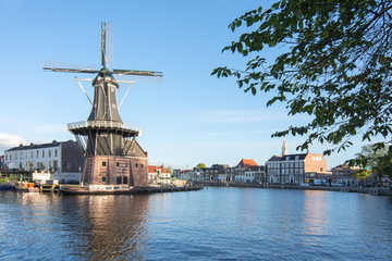 Fototapeta na wymiar Windmill in Haarlem, the Netherlands
