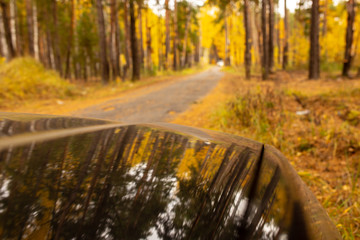 Black car on the road in the forest in autumn