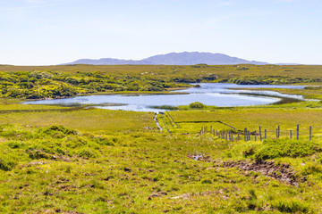 Fototapeta na wymiar Farm with bog, lake and mountains and vegetation in Clifden