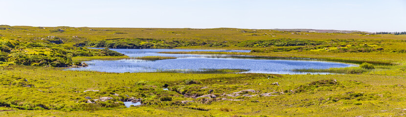Bog, lake and vegetation in Clifden