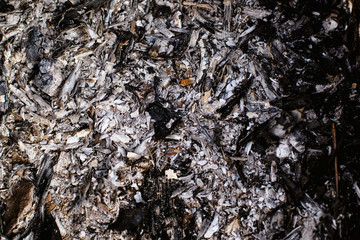 Beautiful ash background for design