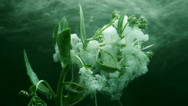 Amazing spreading of paint on a green herb