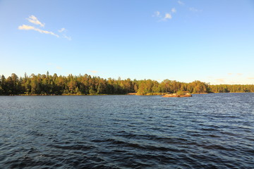 Beautiful view of natural landscape. Calm water surface , green forest trees and blue summer sky. Gorgeous nature backgrounds. Sweden, Europe.