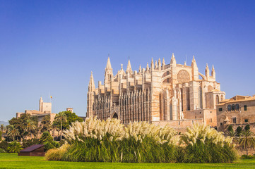Fototapeta premium Cathédrale de Palma de Majorque