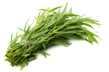 Tarragon leaves ( Artemisia dracunculus ) isolated on white background